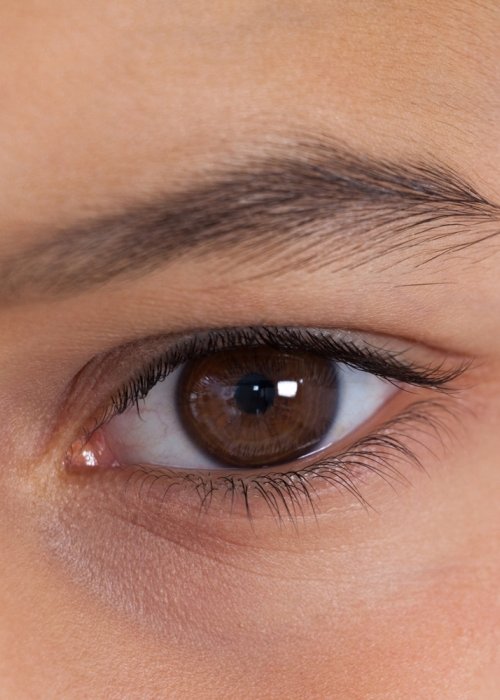 girls-eyes-with-eyebrows-KX5RQ7Y.jpg